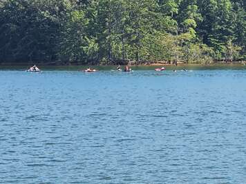 Visitors enjoy kayaking, swimming and floating on Lake Blue...