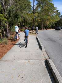 People are leisurely biking along a sunlit path surrounded by...