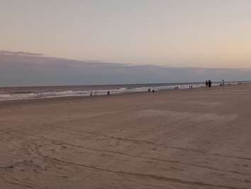 A serene beach stretches into the distance under a soft, dusky...