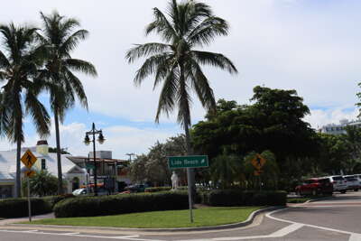 Palm trees line a sunlit street corner with a green sign...