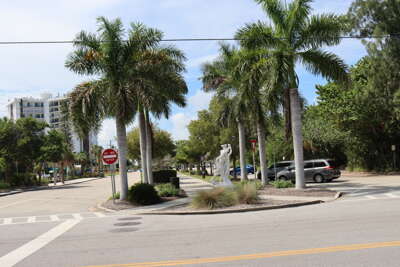 Palm trees line the streets with lots of accessible sidewalks...