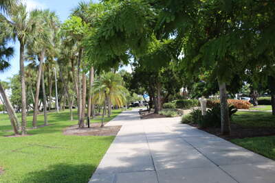 A sunlit pathway lined with palm trees leads through a lush...