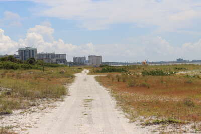 A dirt path leads through a natural landscape towards large...