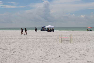 Groups of people enjoy a leisurely stroll along a Lido Key...