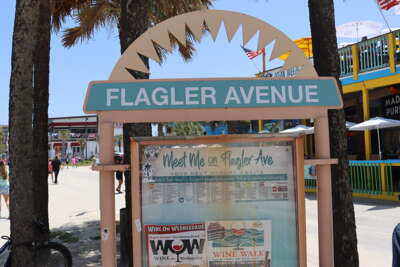 Palm trees frame a sign marking Flagler Avenue in New Smyrna...