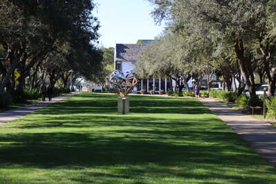 Trees line a pathway that leads towards a building with a...