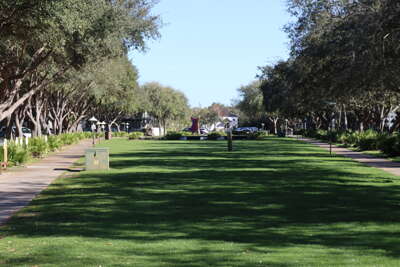 A landscaped park lined with trees under a clear sky offers a...
