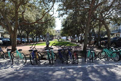 Bicycles parked along a sunlit tree-lined path invite...
