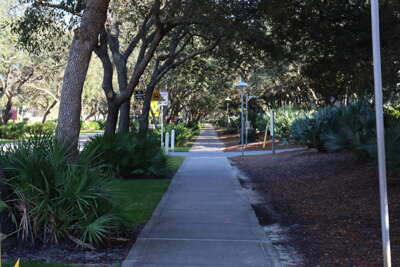 A shaded pathway lined with lush greenery and trees leads...
