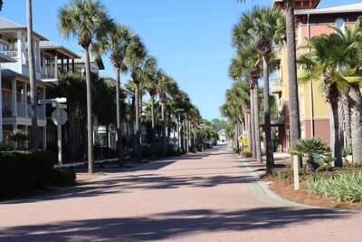 Palm trees line a sunlit street bordered by multi-story...
