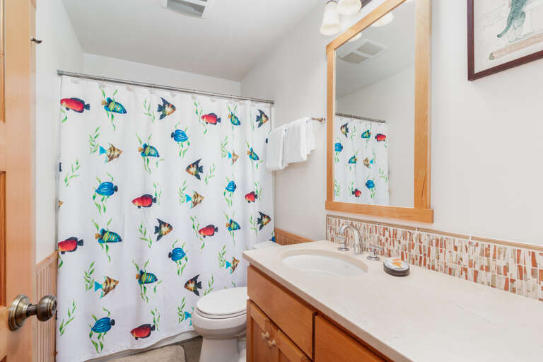 Find Rentals Find Rentals