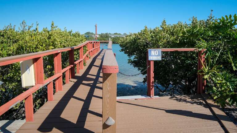 Jeff and Gina Properties - Seashell 20 (SSH20) - Indian Shores - 2 Bedroom - 2 1/2 Bathroom - Waterfront - Outside Pool