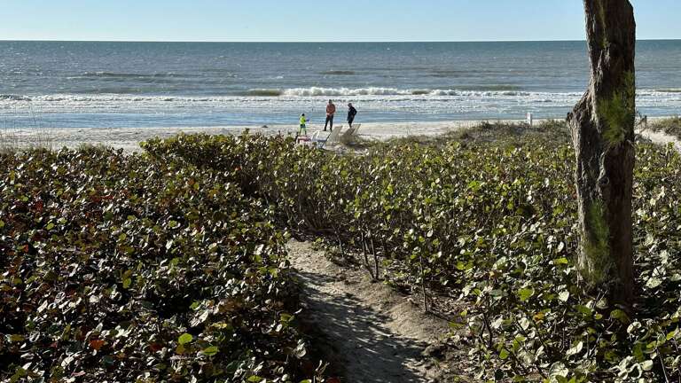 Jeff and Gina Properties - Pipers Run 3 (PR3) - Indian Shores - 2 Bedroom - 2 Bathroom - Gulf Front - Waterfront - Beach Front