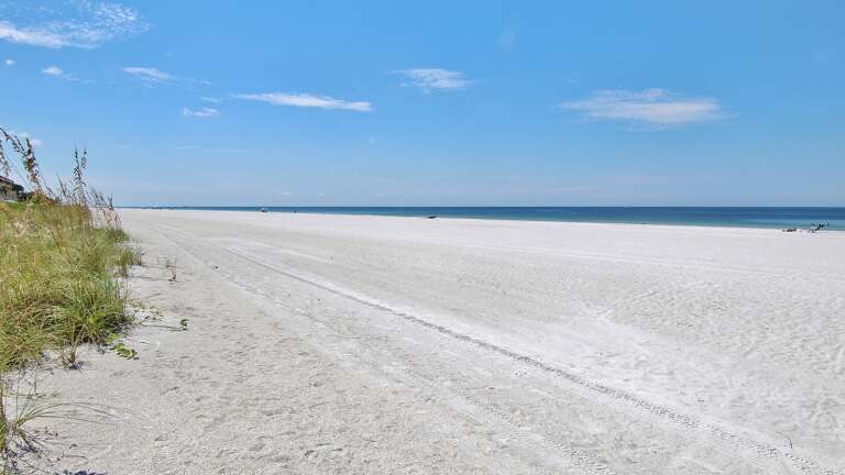 Jeff and Gina Properties - Belleair Beach Club 215 (BBC215) - Belleair Beach - 1 Bedroom - 1 Bathroom - Gulf Waterfront - Beach Front
