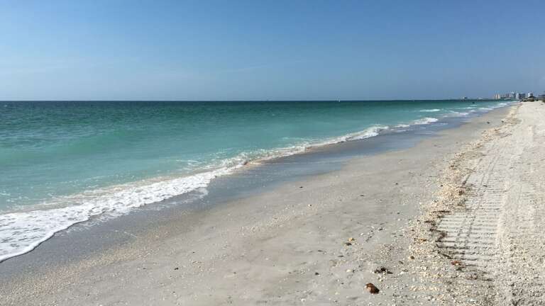 Jeff and Gina Properties - Belleair Beach Club 215 (BBC215) - Belleair Beach - 1 Bedroom - 1 Bathroom - Gulf Waterfront - Beach Front