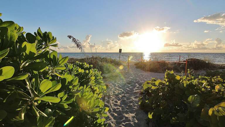 Jeff and Gina Properties - Belleair Beach Club 215 (BBC215) - Belleair Beach - 1 Bedroom - 1 Bathroom - Gulf Waterfront - Beach Front