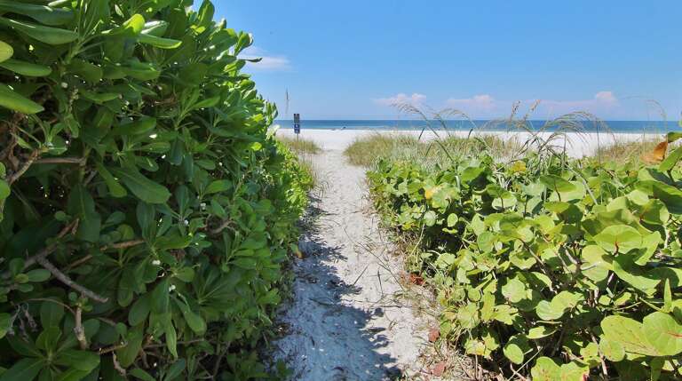 Jeff and Gina Properties - Belleair Beach Club 215 (BBC215) - Belleair Beach - 1 Bedroom - 1 Bathroom - Gulf Waterfront - Beach Front Jeff and Gina Properties - Belleair Beach Club 215 (BBC215) - Belleair Beach - 1 Bedroom - 1 Bathroom - Gulf Waterfront - Beach Front