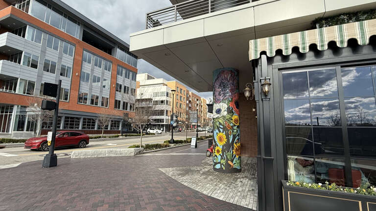 Find Rentals Find Rentals