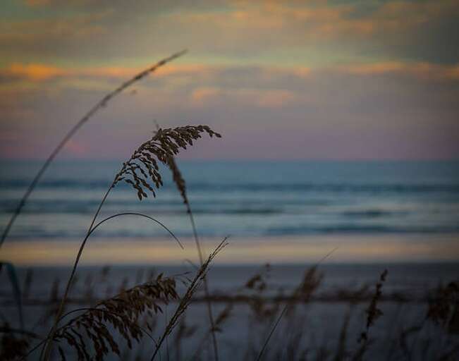 Jeff and Gina Properties - Ocean Trillium 502 - New Smyrna Beach - 1 BR - 1 BA - Beach Views - next door to Chase's on the Beach