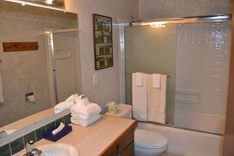 90SantWy-Bathroom (2)