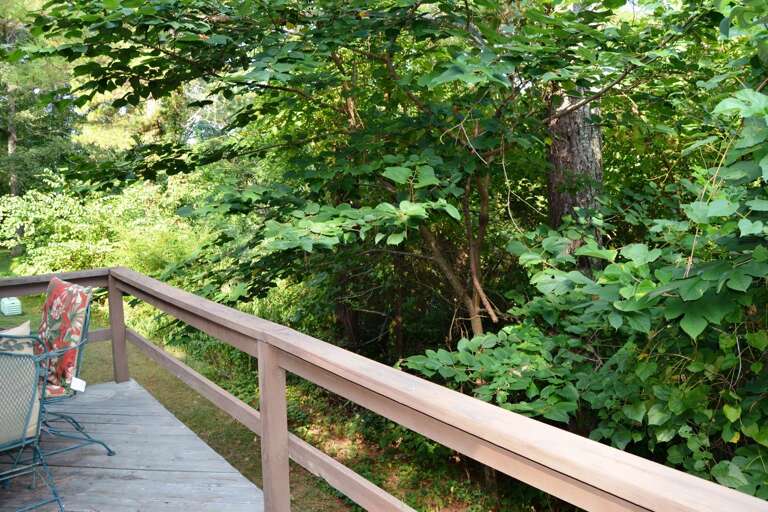 169CordLn-Back deck v2