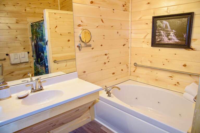 Handicap accessible bathroom on main level of Mansion in the Sky