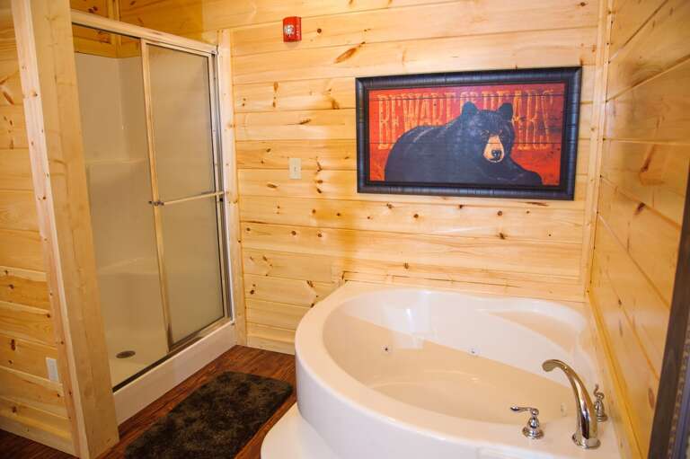 Bathtub Next to the Shower.