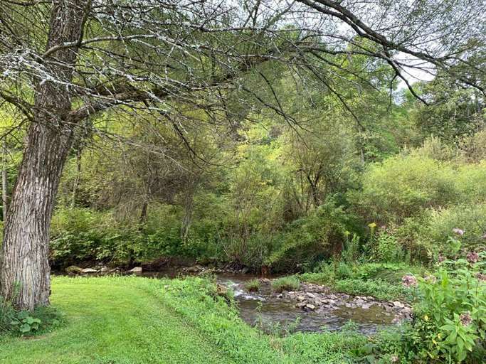 Rural Landscape With Stream And Tree