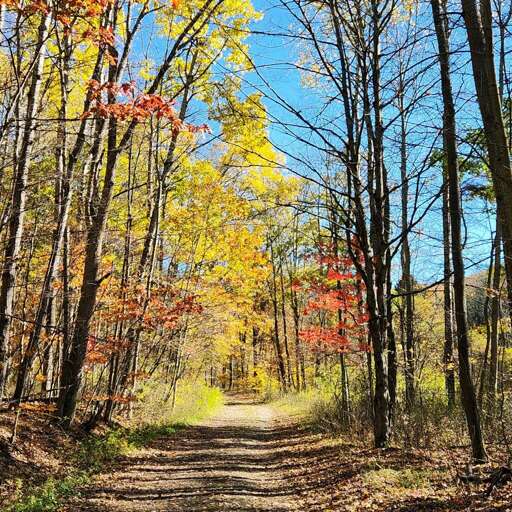 Privacy on 300 acres Privacy on 300 acres