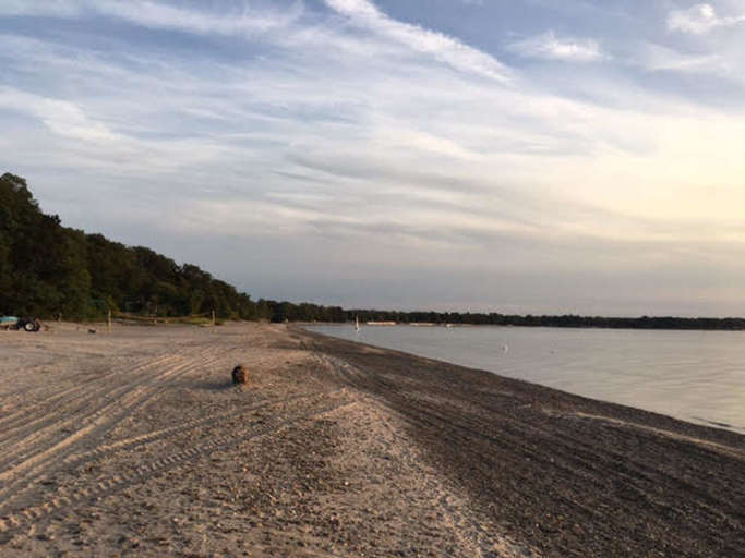 View Towards the Beach Bars - Mickey Rats and Turtle Joes
