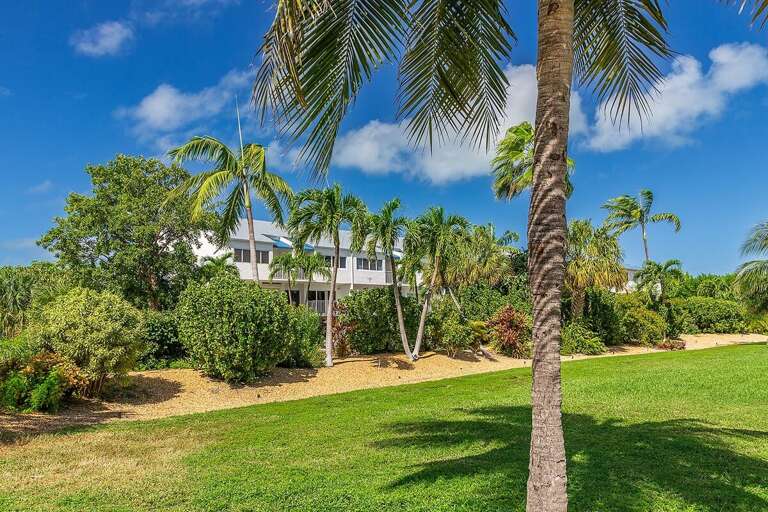 Tropical surroundings.