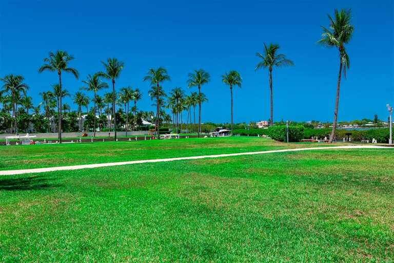 Step into a lush tropical paradise, where every view is a canvas of natural beauty.