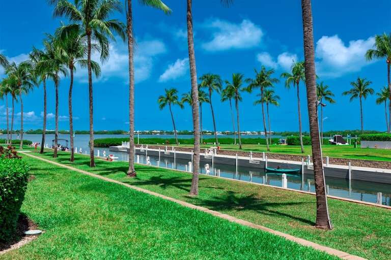 Step into a lush tropical paradise, where every view is a canvas of natural beauty.