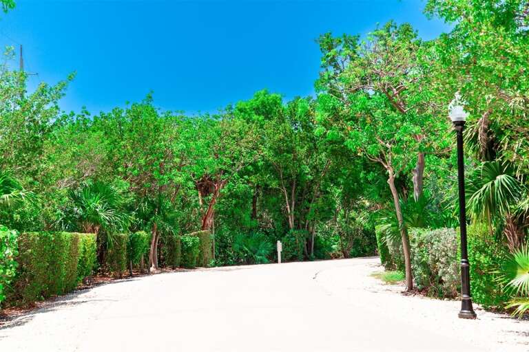 Step into a lush tropical paradise, where every view is a canvas of natural beauty.