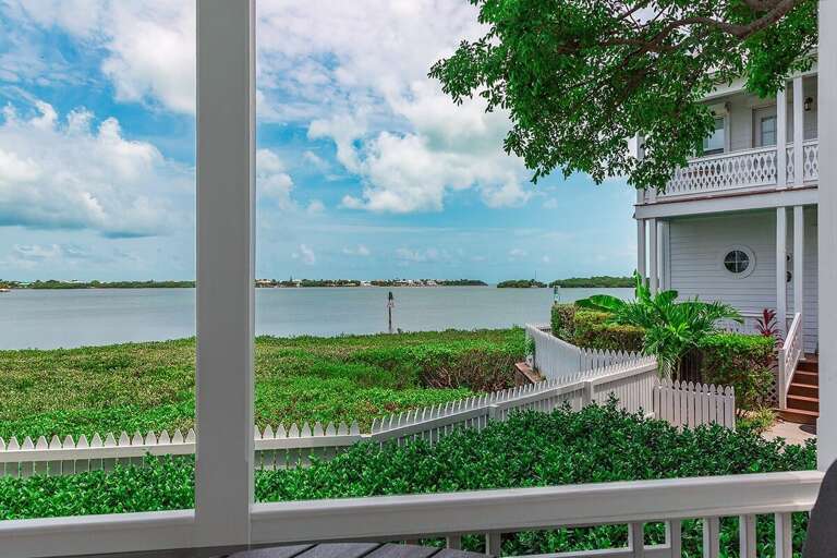 View from back porch.