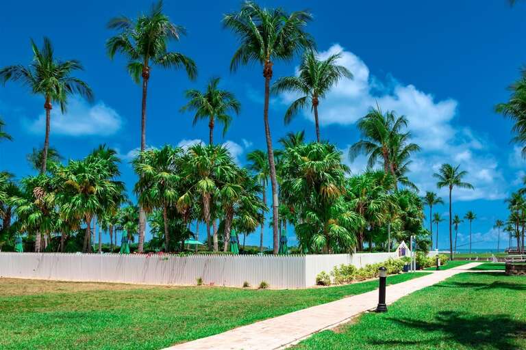 Step into a lush tropical paradise, where every view is a canvas of natural beauty. Step into a lush tropical paradise, where every view is a canvas of natural beauty.