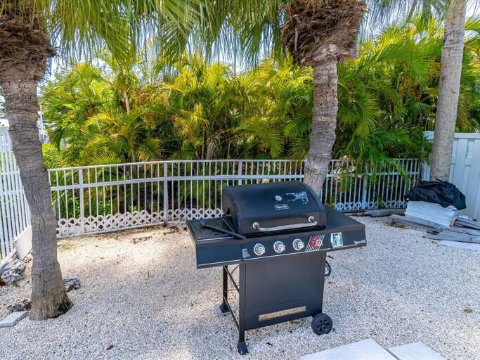 Gas grill at the backyard.