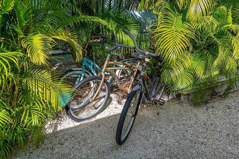 Bicycles for guest use.