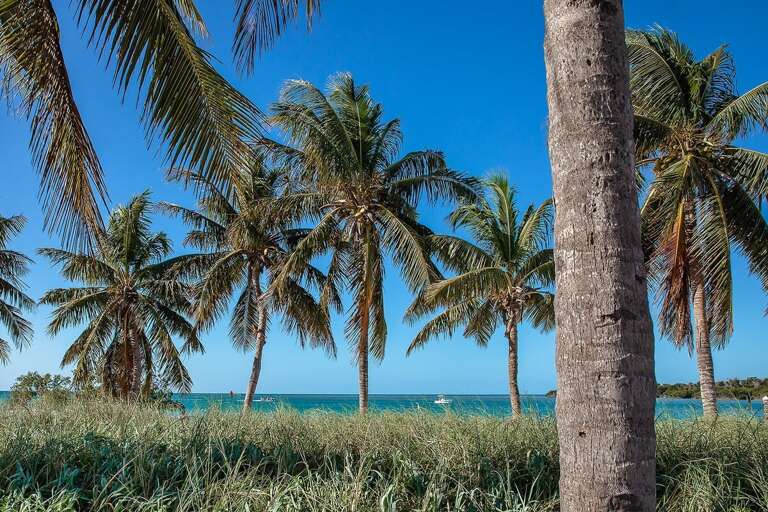 Under the warm embrace of the Florida sun, Sombrero Beach casts its spell of serenity and bliss, inviting you to bask in its sandy shores and azure waters.