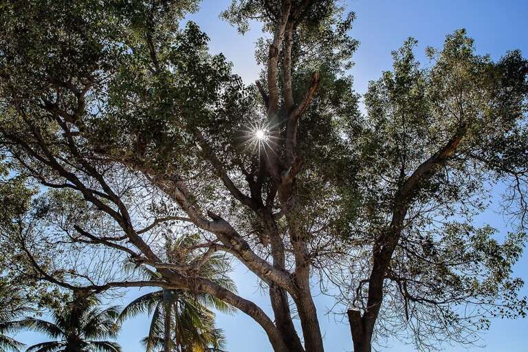 Under the warm embrace of the Florida sun, Sombrero Beach casts its spell of serenity and bliss, inviting you to bask in its sandy shores and azure waters.