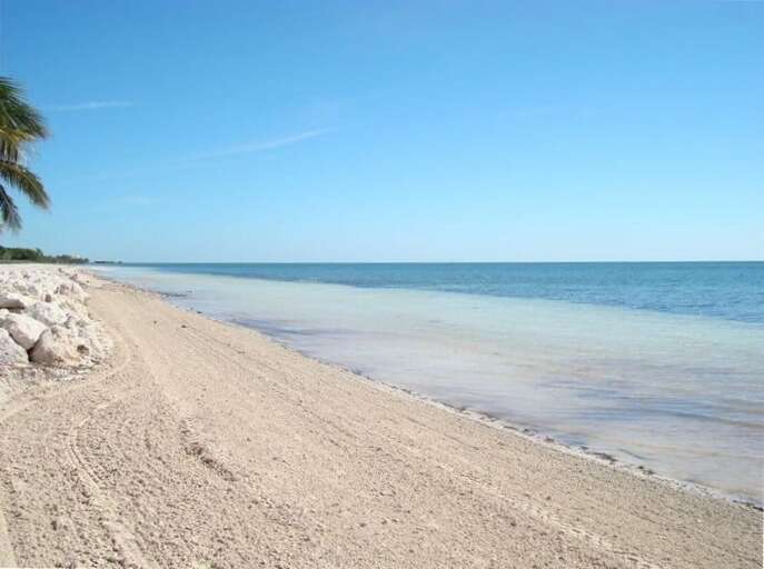 Nearby beach.