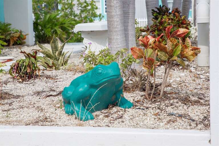 Find Rentals Find Rentals