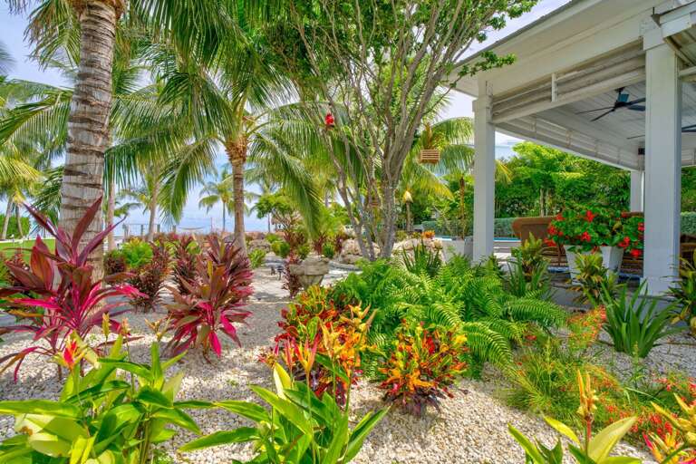 Escape to your own tropical paradise with this outdoor retreat featuring mature palm trees, manicured grounds, and sweeping views of the Atlantic Ocean.