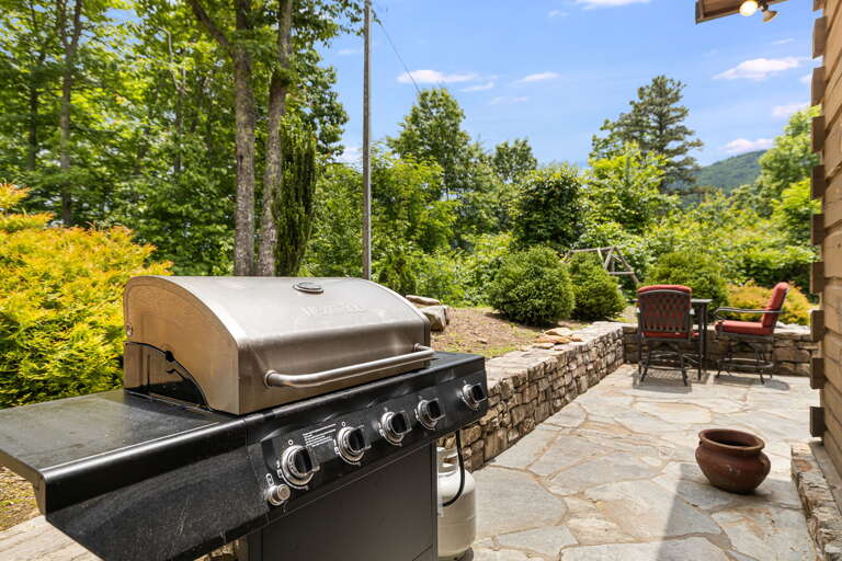 Gas Grill