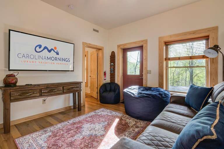 Lower Level - Bonus Living Area