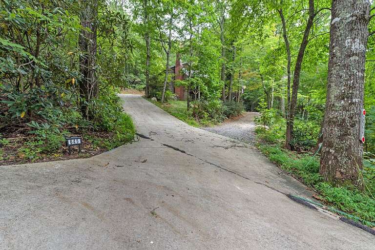 Driveway to Mountain Cove
