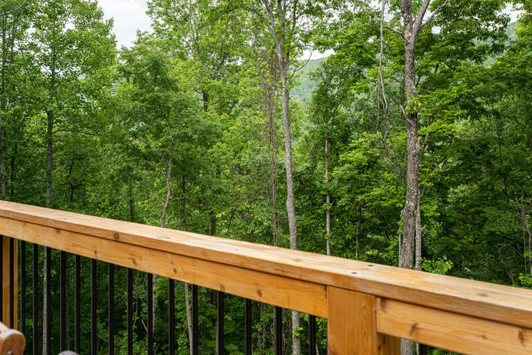 Wooded Surroundings & Mountain Views Wooded Surroundings & Mountain Views