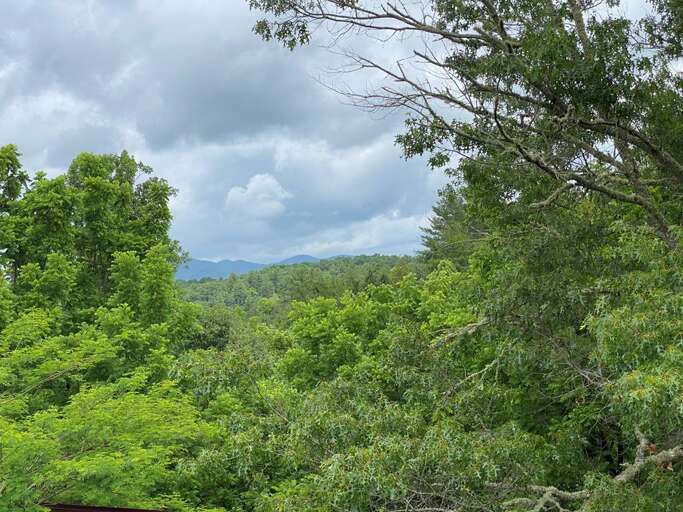 Mountain Views from the Hiking Trails at Trail Time!