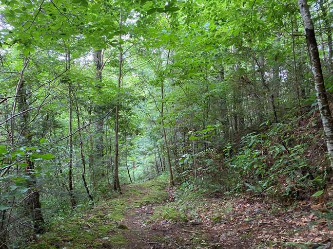 Cliffs Trail at Trail Time