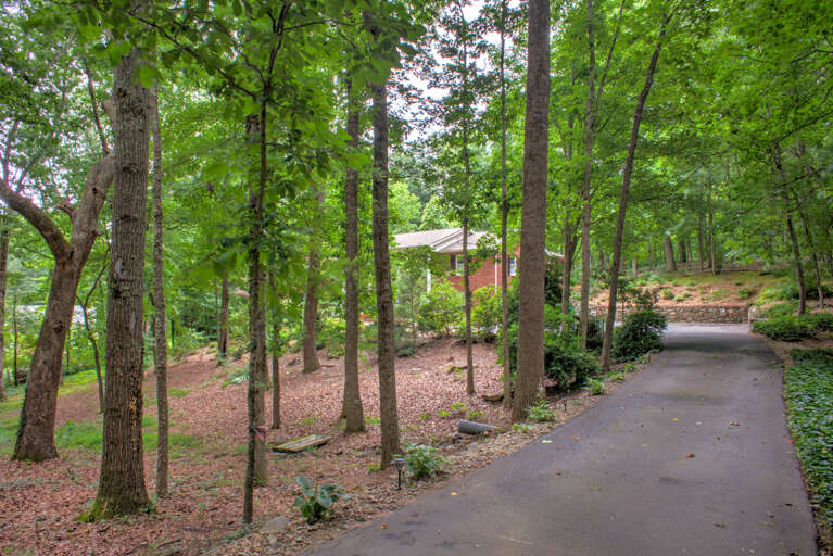 Driveway to Tranquil Nest-AVL